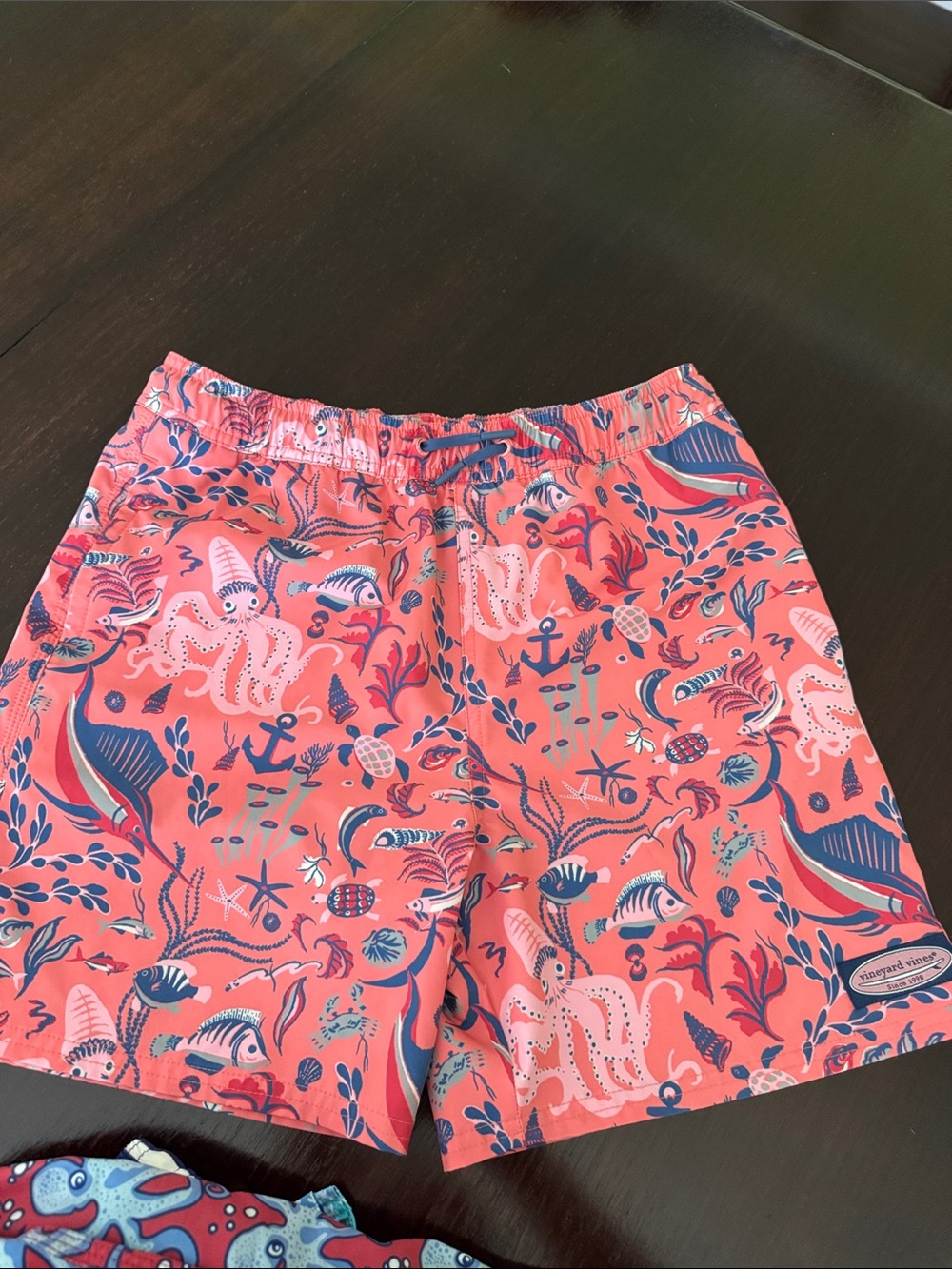 Size pairs of size medium boys vineyard vines swim trunks - Picture 13 of 14